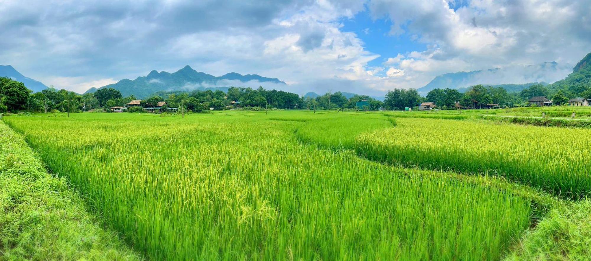 Mai Chau Sky Resort Exterior foto