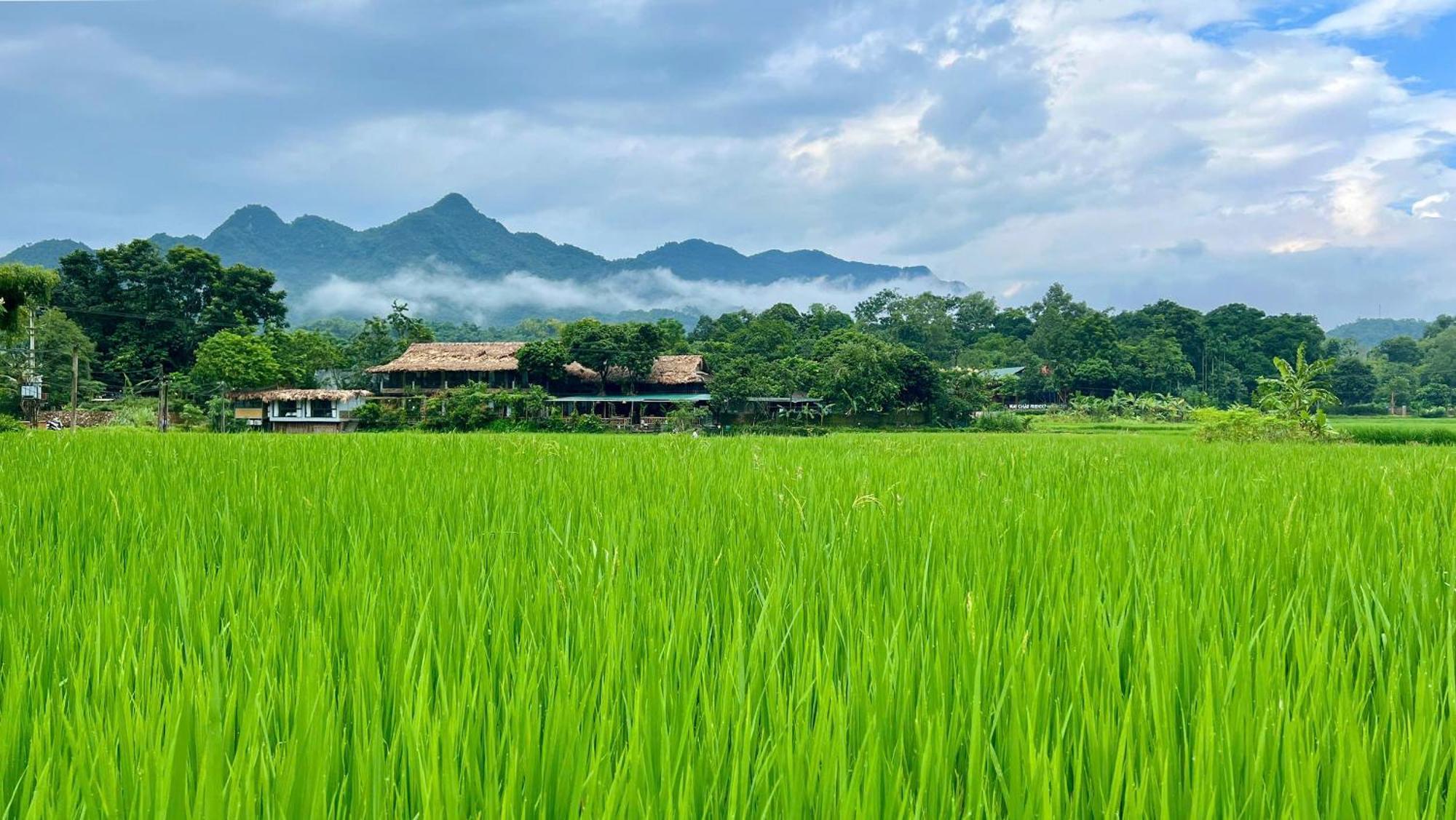 Mai Chau Sky Resort Exterior foto
